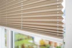 Plissé curtains