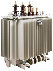 Oil distribution transformers TMG-SESHCH of 250-1000 kVA capacity of 6, 10 kV voltage class