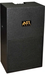 ASR TS-415SB P3 Active Subwoofer Speaker System