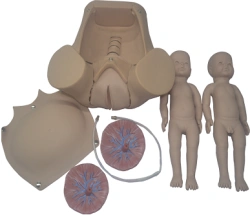 Fetal Passage Simulator GP6612 / 5A
