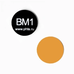 Fluorescent alignment target BM1-3