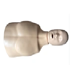 Mannequin (torso) for CPR training, item CPR167