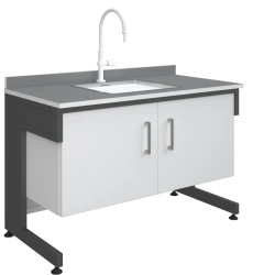 Demonstration table with sink