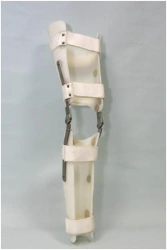 Knee joint apparatus AN4-01-OK
