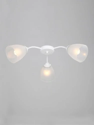 General purpose fixed luminaire V37610/3PL