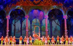 Textile goods TM VERA for stage decoration: Soft scenery (pictorial-applique, pictorial, applique).