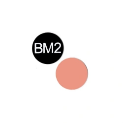 Fluorescent testing target BM2-4