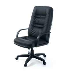Minister armchair (KR8)