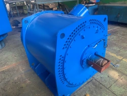 High-voltage asynchronous electric motor 1??? - 560S-4U2,5