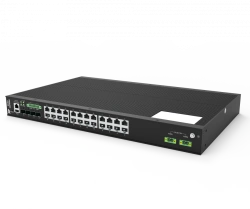 Switching equipment InZer-2224GEM