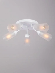 General purpose fixed luminaire V3762-0/5PL