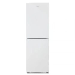 Refrigerator-freezer "Biryusa 6131"