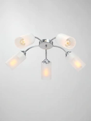 General purpose fixed luminaire V3758/5PL