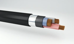 Power cables with plastic insulation at voltage 0,66 kV of VKaShvng(A) type.