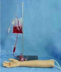 Arm model of a 4 years old child for venipuncture S5