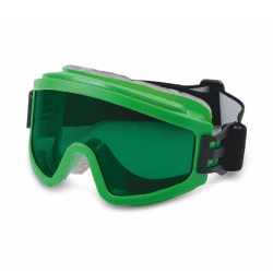 ZN11 PANORAMA StrongGlass™ safety goggles, article no. 24127.
