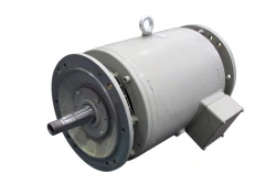 Motors asynchronous type AZHV180MA2U2.