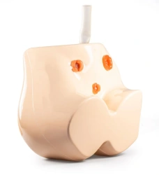 Simulator for practising skills of intramuscular injections in the gluteal region and enema procedures