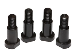 Bolt 2829.04.00.101