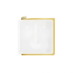 ISBC® Labels 50x50 UHF, UCODE, pet adhesive (46x46)