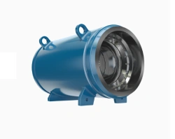 Check valve PT41012