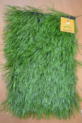 Artificial grass Optigrass 55 TR