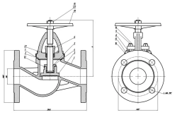 Shut-off flanged bore valve DN 50 PN 16 series 458 (??IA.491115.002)