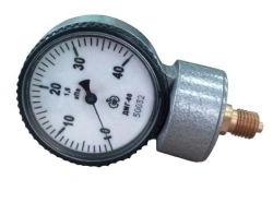 Indicating pressure gauges DMG-60