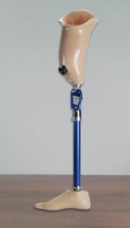 Hip prosthesis for bathing