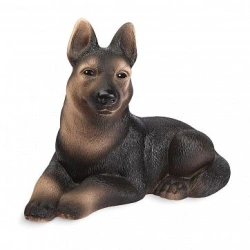 Dog Jeri