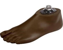 1H02ACbr SACH foot (brown)