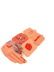 Set of simulators of wounds and lesions of production from 5 moulages NMP-5
