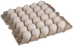 Grade A Chicken Table Eggs - Fresh and Nutrient-Rich