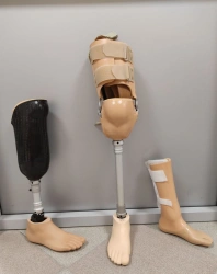 Foot prosthesis