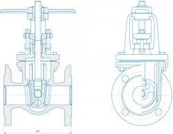 Cast iron wedge gate valve DN 50