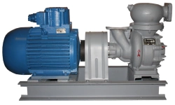 Self-priming electric pumping unit 1ACCL 20-24