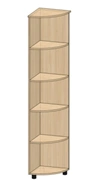 Radius shelving unit
