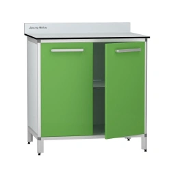 Cabinet for storage of medicines according to TU 32.50.30-007-32924160-2021, article number DM-1-109-03.K2.F1.