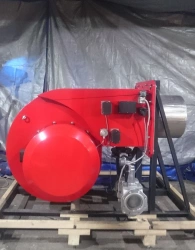 TECHNOFLAME combi burner TF-GL 10000 M/R