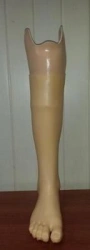 Tibial prosthesis for bathing PH3-87K