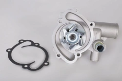 WATER PUMP WITH GASKET SET 4062.3906629-30