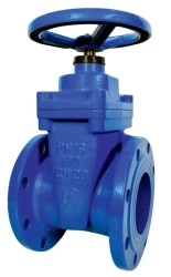 Cast iron gate valve with rubberised wedge 30ch39r SL12