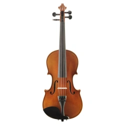 Goronok "Cadence" student violin 3/4