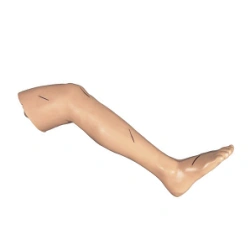 Leg model for surgical skills training, M