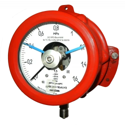 Pressure gauge DM2005Cr1ExCs
