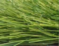Grass 65Z/12 artificial grass surface