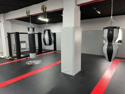 Shaped boxing bag