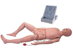 Multifunctional mannequin (female + male): CPR, various injections, stoma care, catheterisation, etc., art.3000.