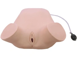 Trainer for practising Leopold technique, anal and vaginal examination, W-2