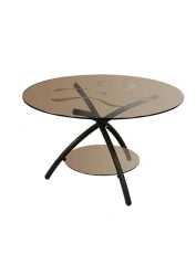 Coffee table Duet 3
